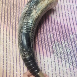 Natural Buffalo Horn