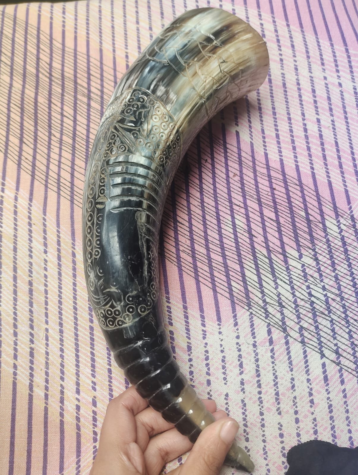 Natural Buffalo Horn