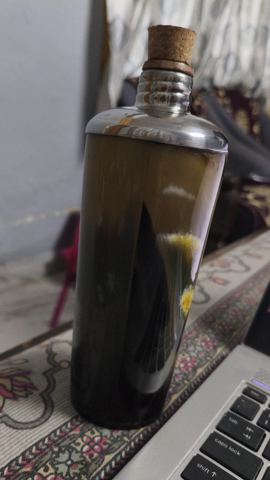 Horn Bottle with Cork Stopper - Image 5