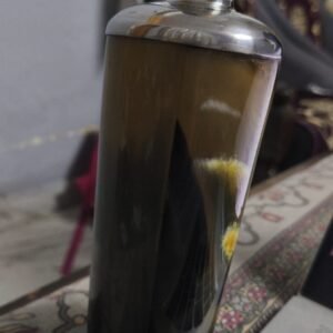 Horn Bottle with Cork Stopper